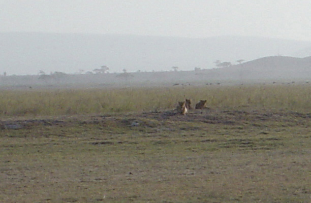 Amboseli National Park