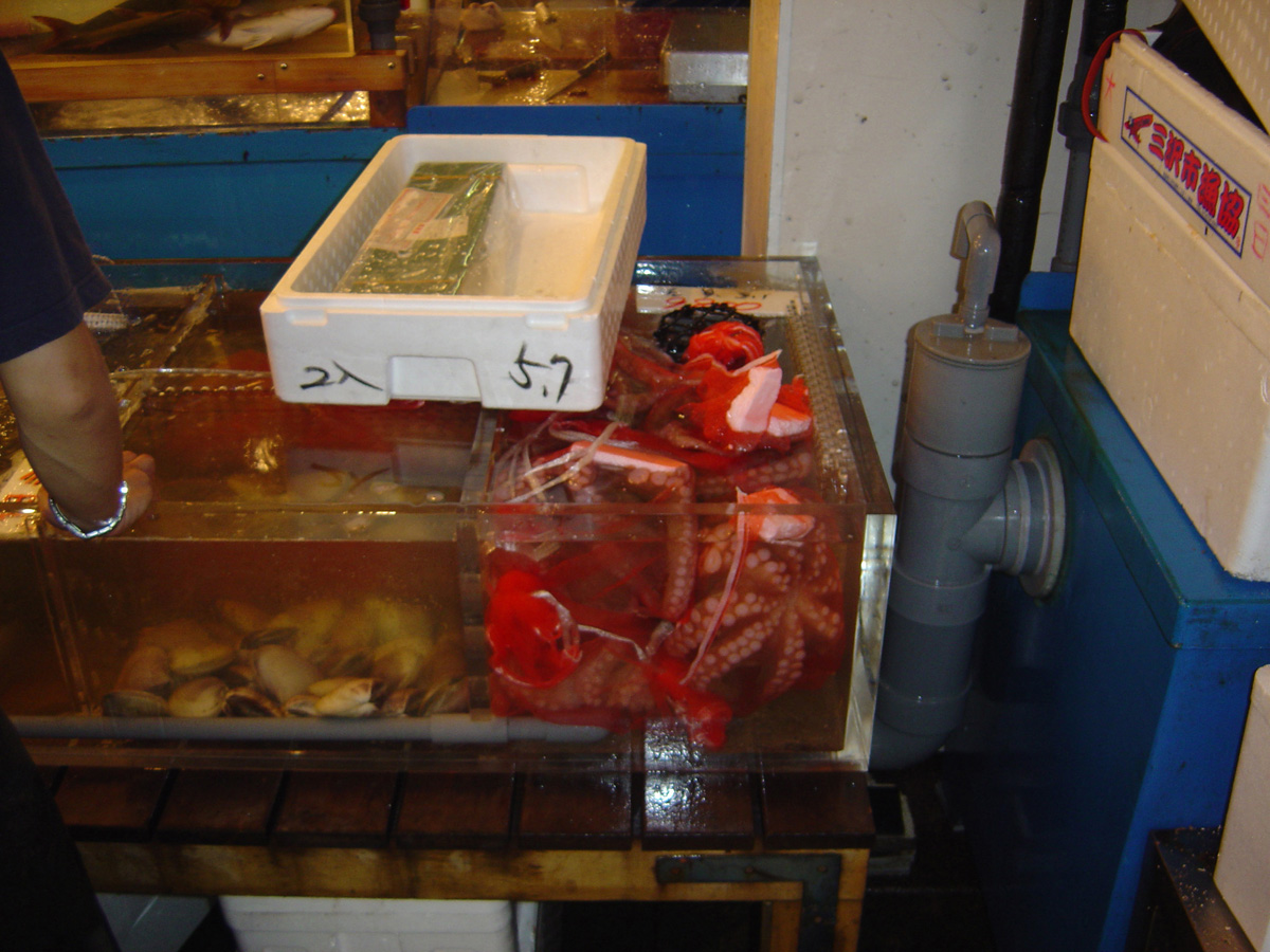 Tokyo 2005, Tokyo fish market