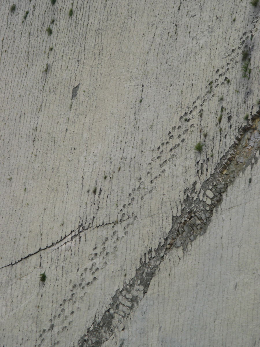 Sucre, Cal Orkco: Dual Dinosaur tracks