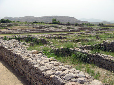 Taxila: Sirkap, Pakistan 2008