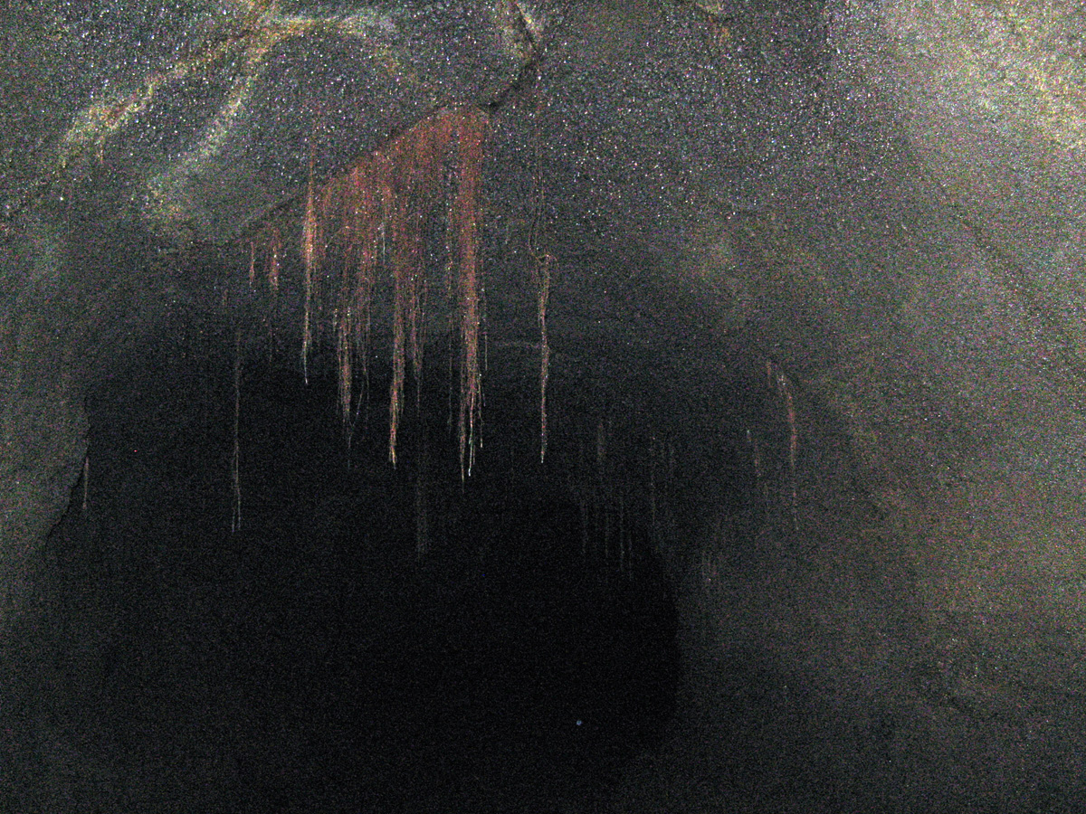 Hawaii 2008, Thurston Lava Tube The "unimproved" section.