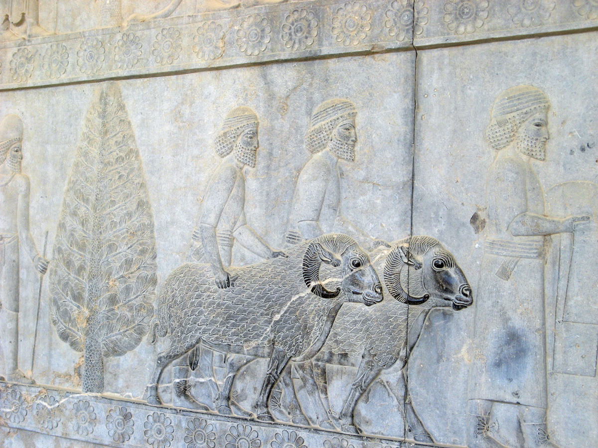 Persepolis