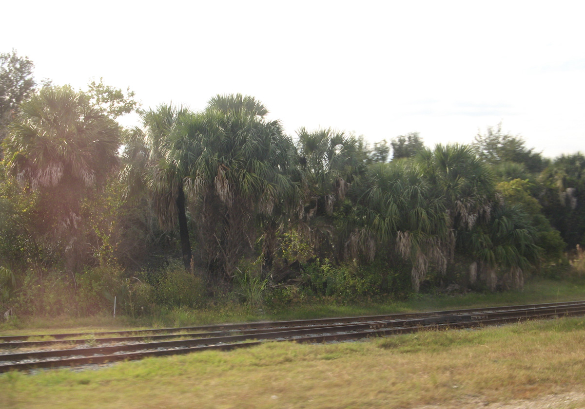 Charleston 2009, Amtrak Florida