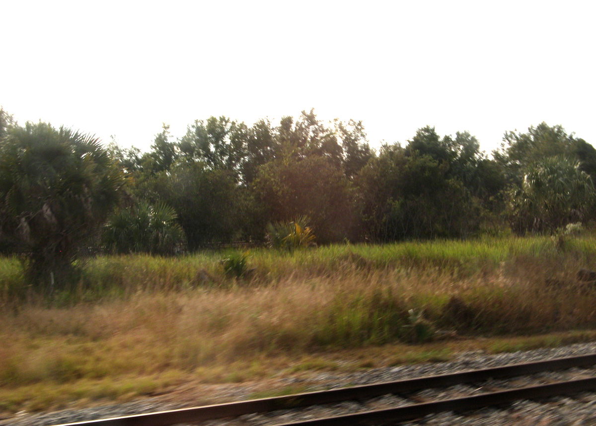 Charleston 2009, Amtrak Florida