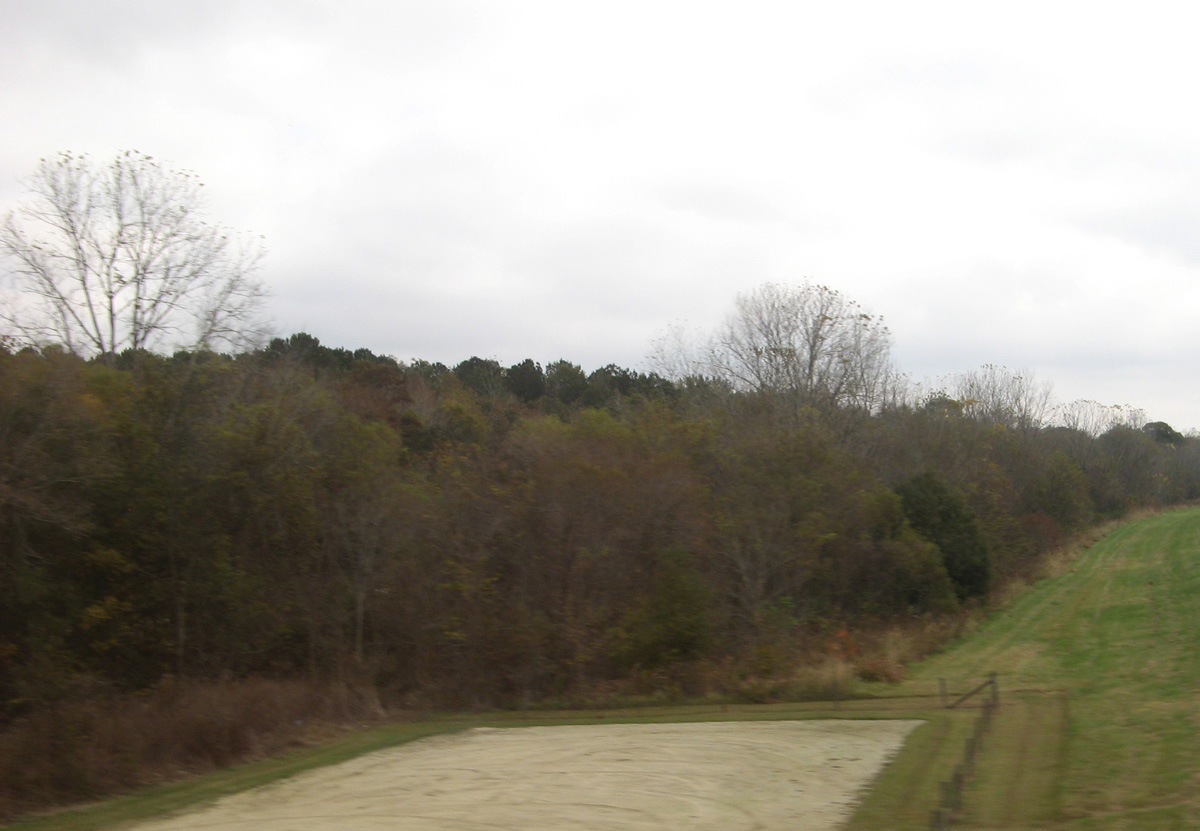 Charleston 2009, Amtrak Carolinas