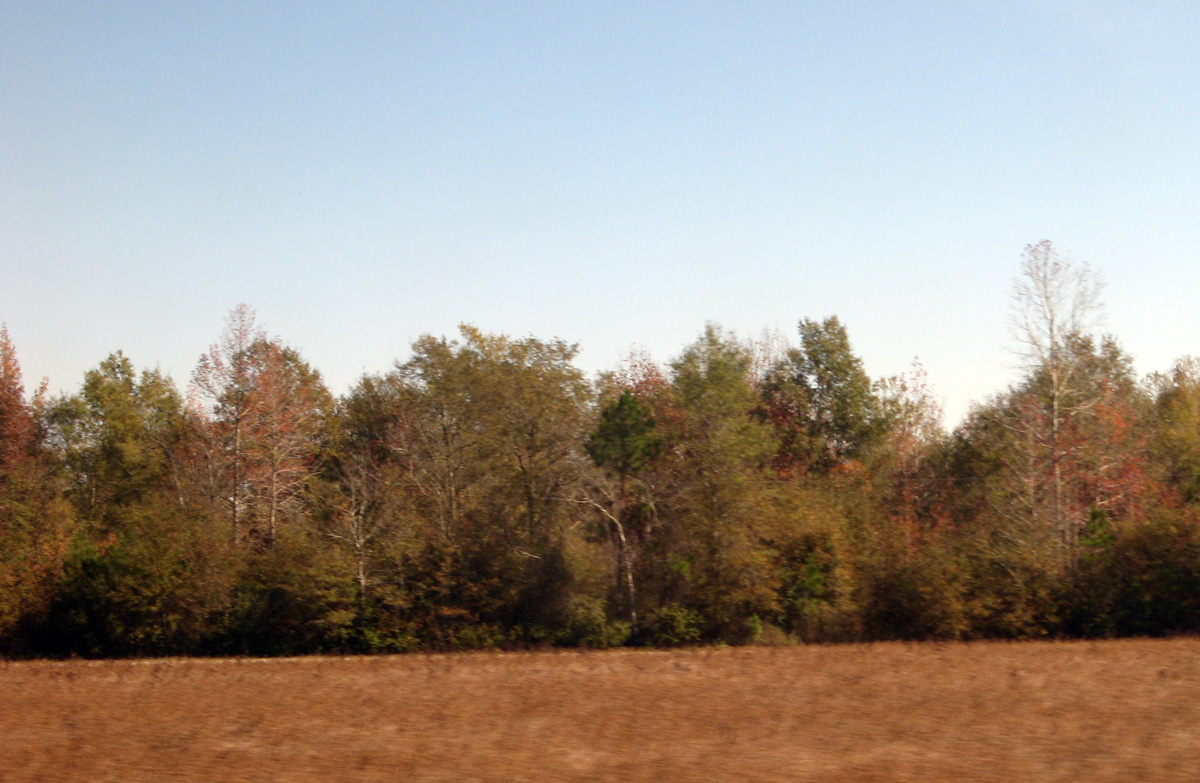 Charleston 2009, Amtrak Carolinas