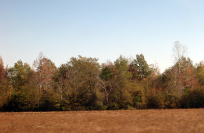 Amtrak Carolinas, Charleston 2009