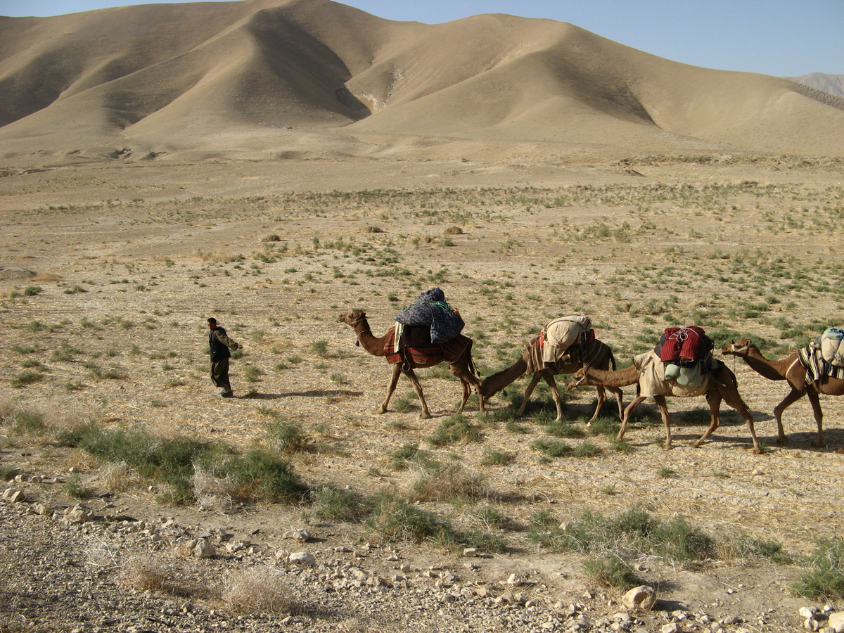 Mazar-Panjshir, A camel train