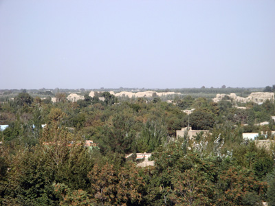 Lush vegetation, distant walls, Balkh, Afghanistan 2009