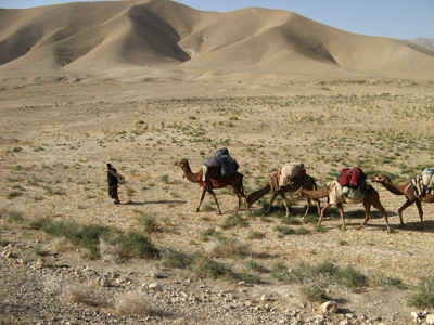 A camel train, Mazar-Panjshir, Afghanistan 2009