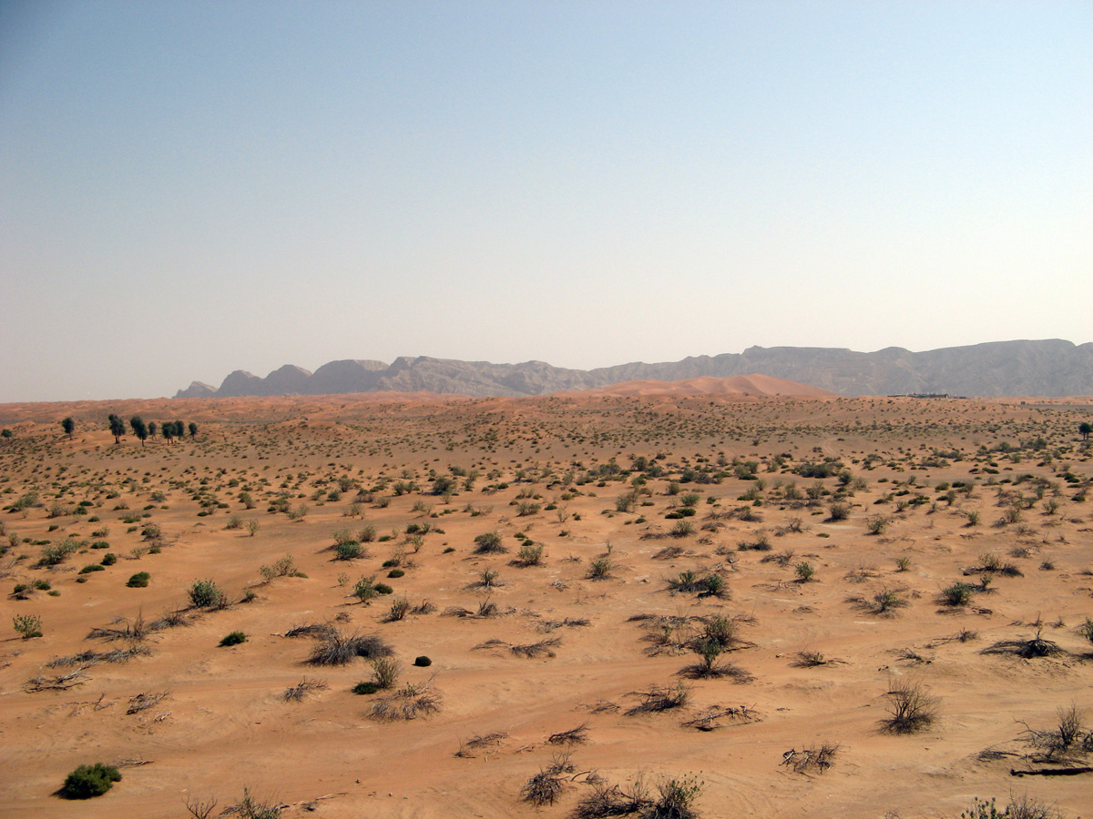 Hatta, Dubai desert
