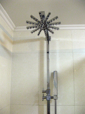 Hotel Tajikistan shower head, Dushanbe, Uzbekistan & Tajikistan 2009