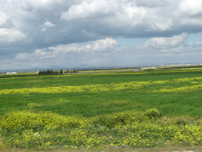 35 m. South of Damscus, Damascus, Syria 2010