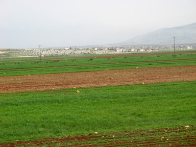 Lush Fields: 24 miles W of Aleppo, Syria 2010