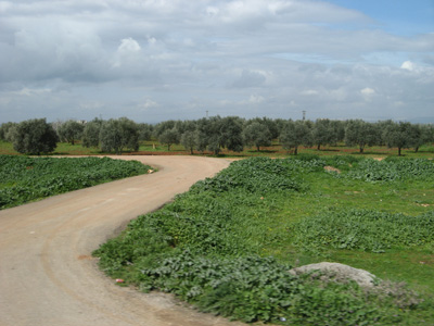 26 miles SW of Aleppo, Syria 2010