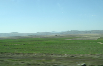 Central Anatolia, 42 miles S. of Ankara, Turkey March 2010