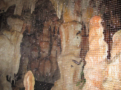 The Bat Cave With hundreds of fluttering bats., Omaha, NE, 2010 USA West