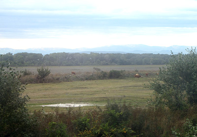 24 miles East of Grozny, Chechnya, Oct 2011