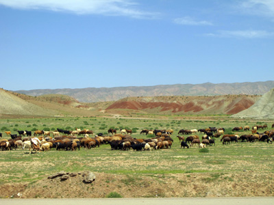 97 miles SE of Tabriz, 2011 Azerbaijan + Iran + Armenia