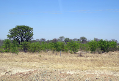Near Francistown, Botswana 2013