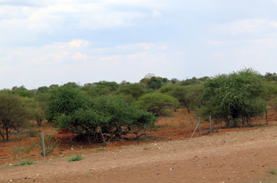 7 miles NE of Gaborone, Botswana 2013