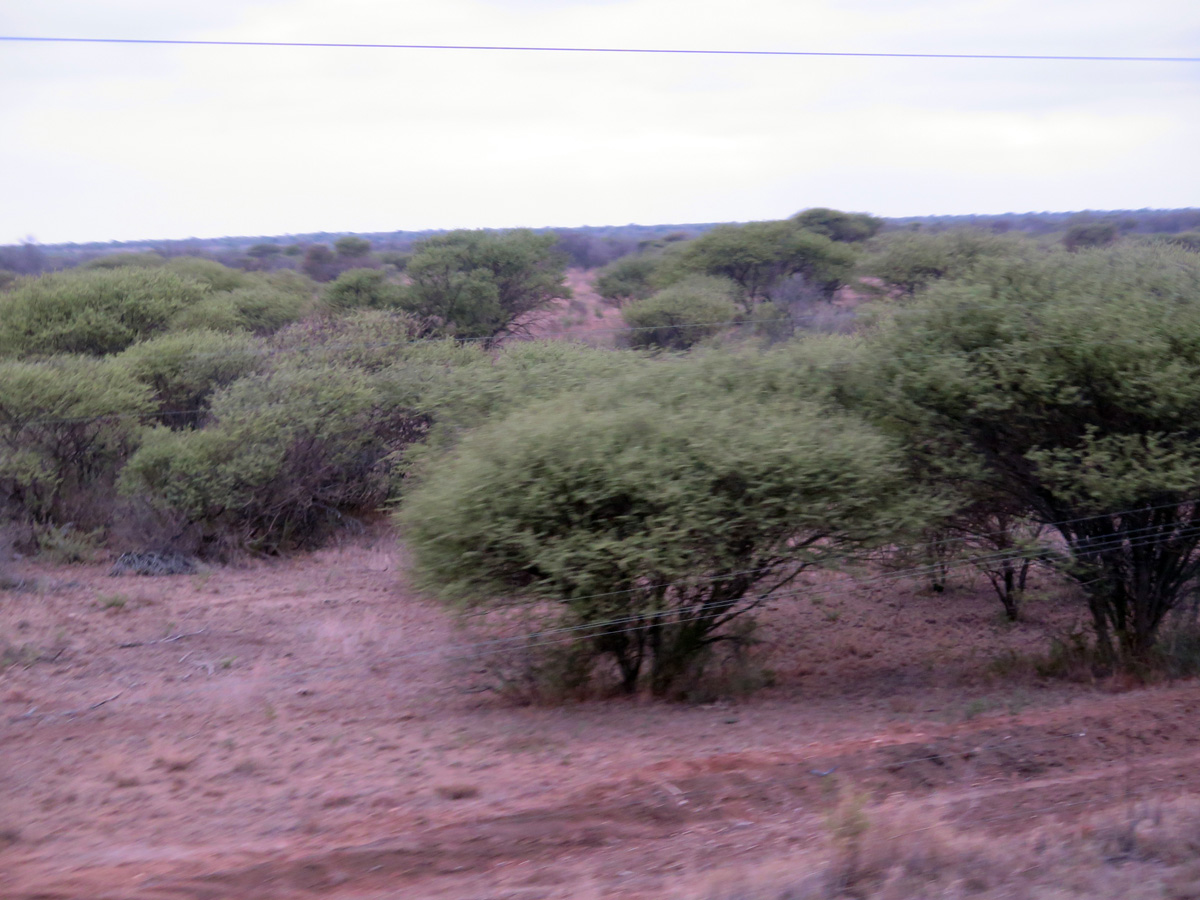 South Africa 2013, 63 miles South of Gaborone