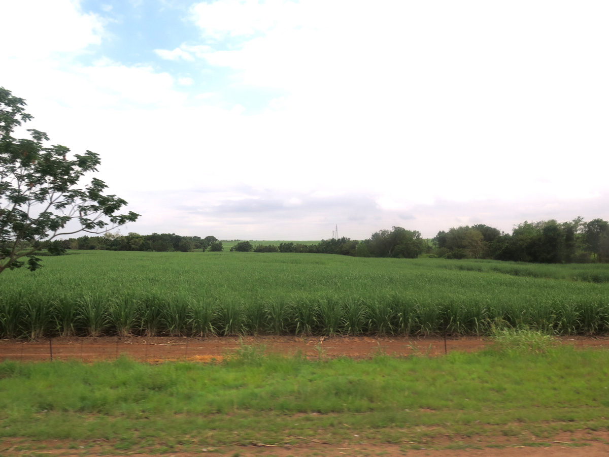 Kruger, Farmland just outside Kruger