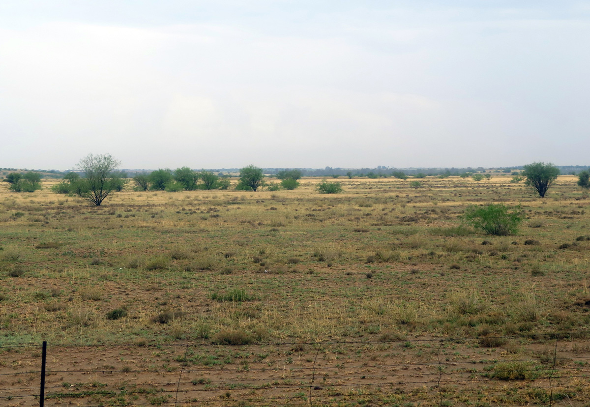 Blue Train, 50 miles North of Kimberley