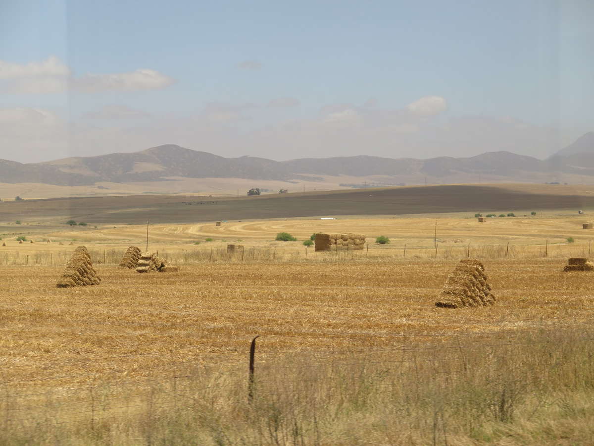 Blue Train, 24 miles East of Cape Town