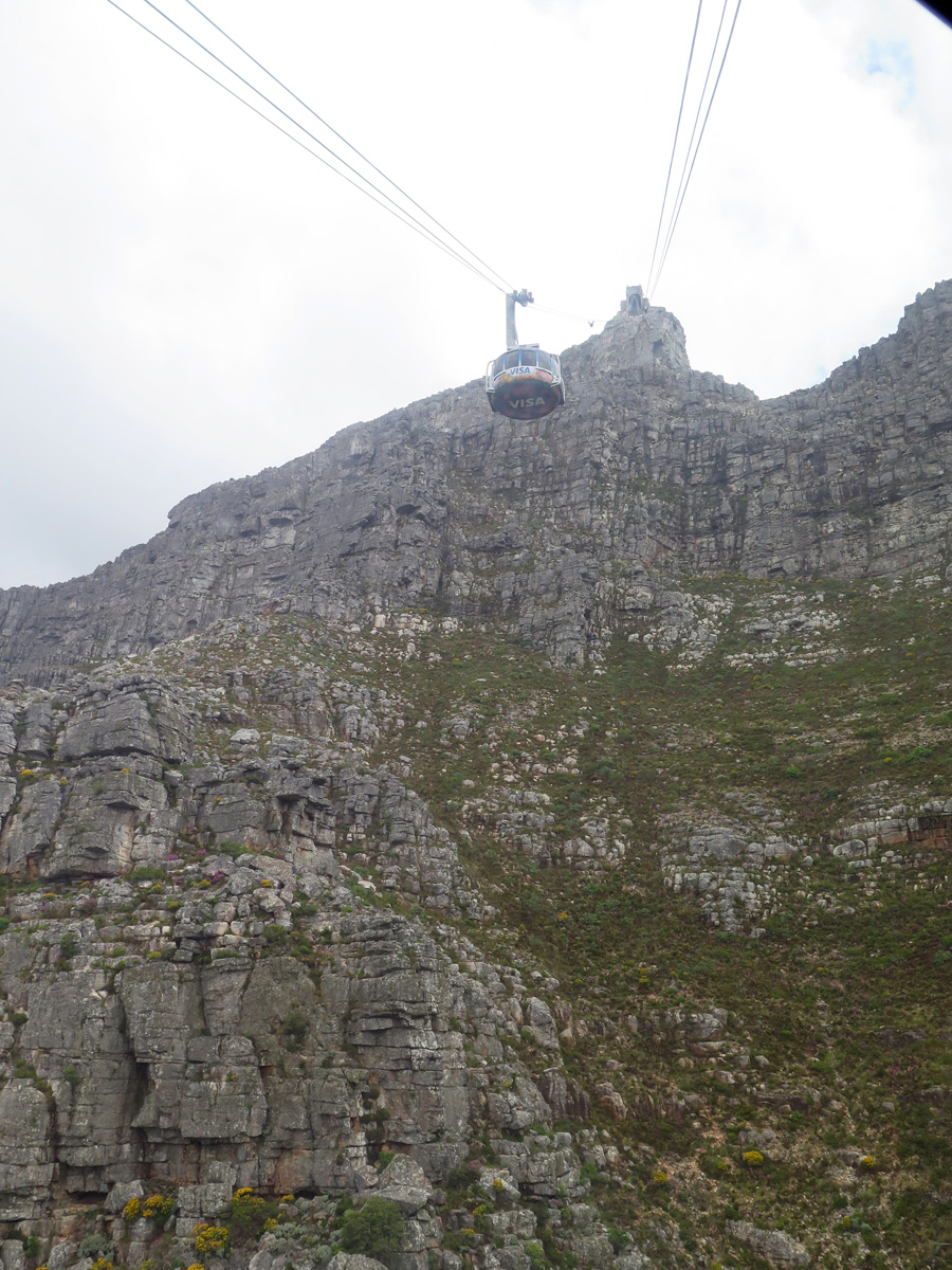 Cape Town, Up to Table Mountain