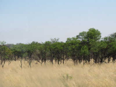 Halfway to Harare, Bulawayo, Zimbabwe 2013