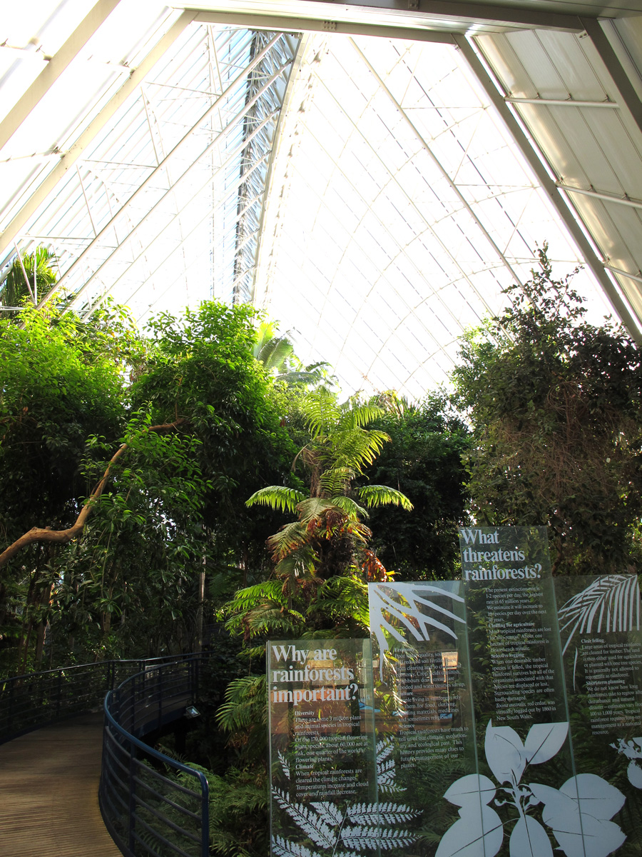 Adwlaide Botanic Gardens, Indoor rain forest! Bicentennial Conservatory
