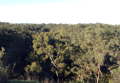 7 miles South of Adelaide, The Overland, Australia (West-East)