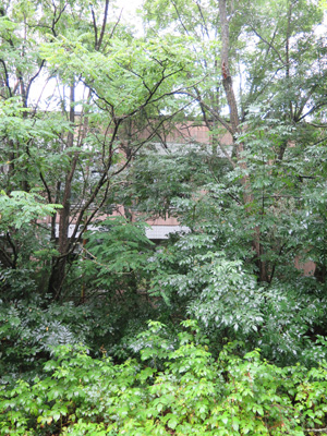 Chernobyl, Ukraine 2014