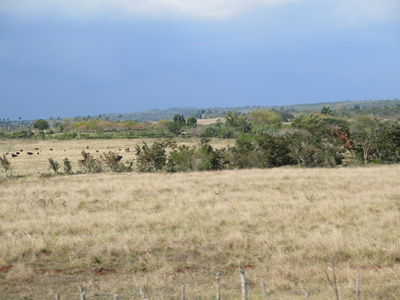 13 miles SE of Matanzas, Cuba 2014