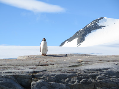 Port Lockroy, Antarctica: Landings