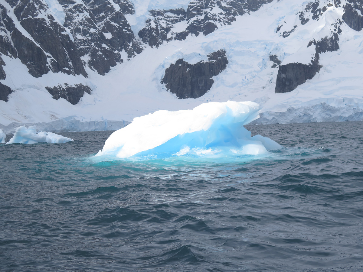 Antarctica: Sea and Ice, 1 mile North of Paradise Bay