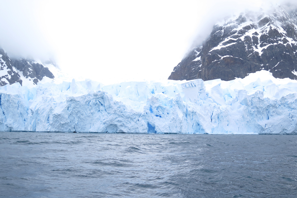 Antarctica: Sea and Ice, 1 mile NE of Paradise Bay