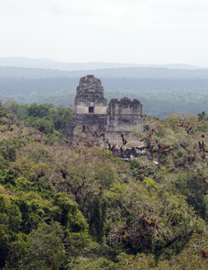 View from Temple IV: Temples I & II, Tikal, Guatemala 2016