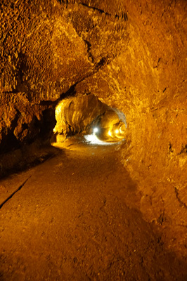 Thurston Lava Tube, Kilauea, Hawaii 2016
