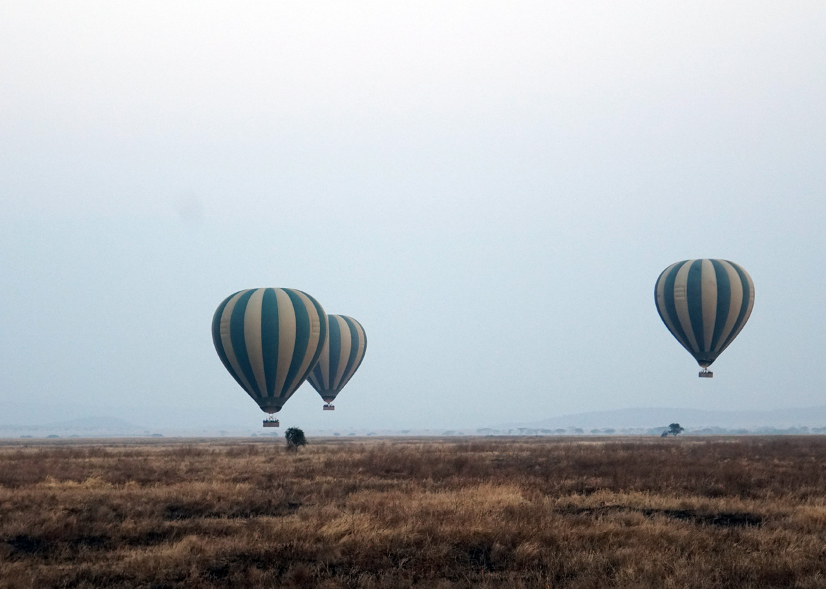 Balloon Safari