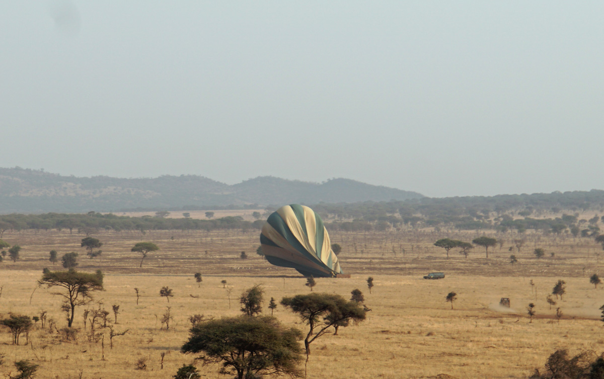 Balloon Safari