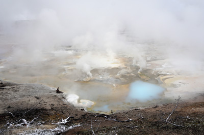 Porcelain Springs, Norris Geyser Area, Yellowstone 2016