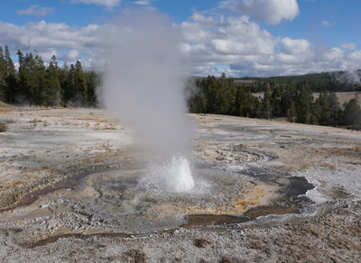 Anemone Geyser: Erupting, Yellowstone 2016