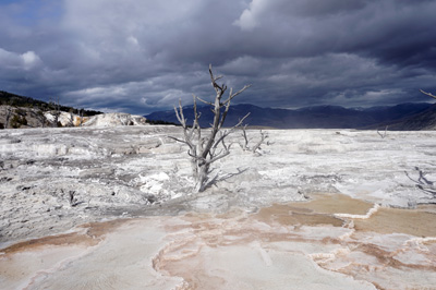 Mammoth Springs, Yellowstone 2016
