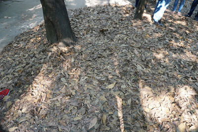 Cu Chi Tunnels, Vietnam Spring 2017