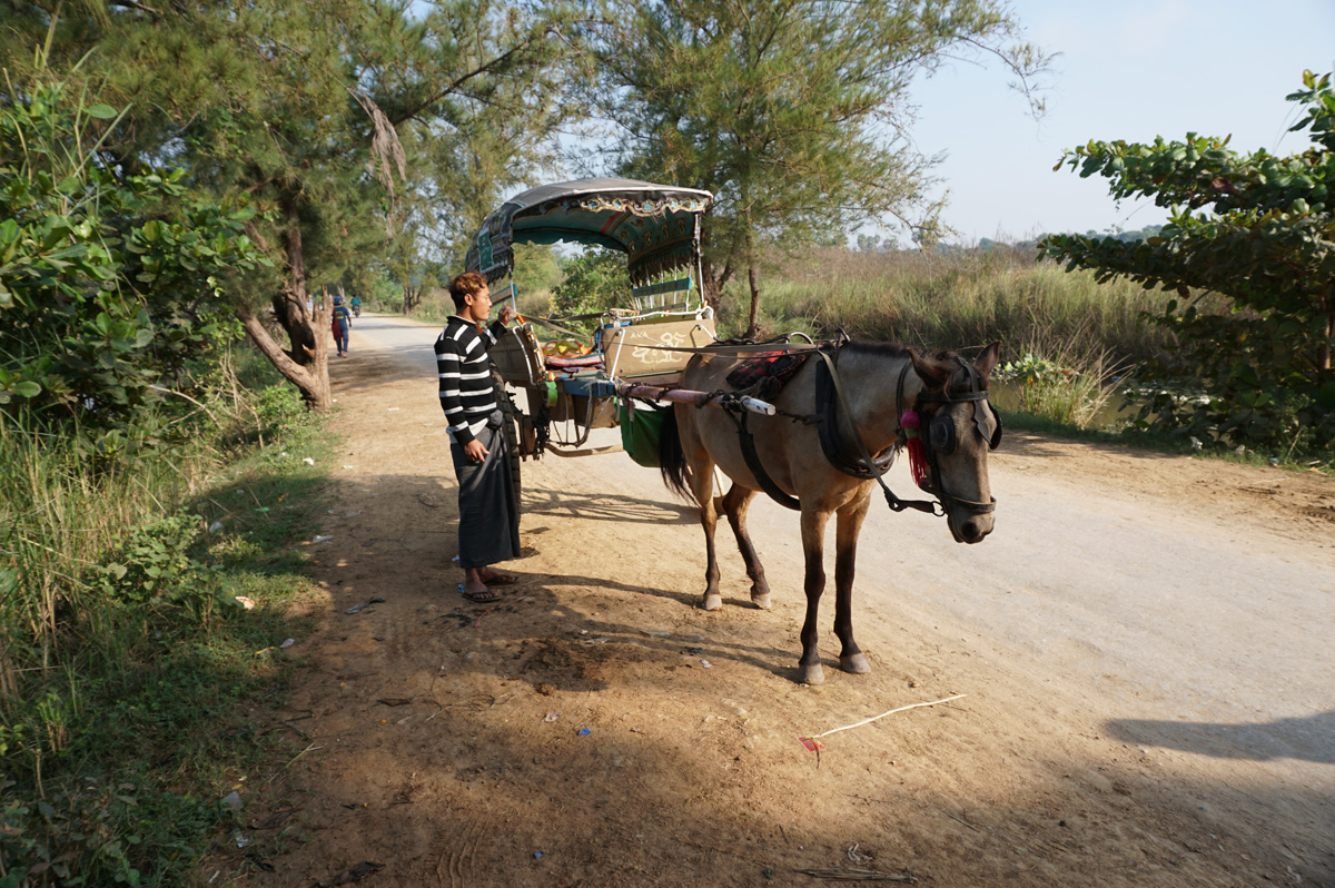 Ava, Local transport