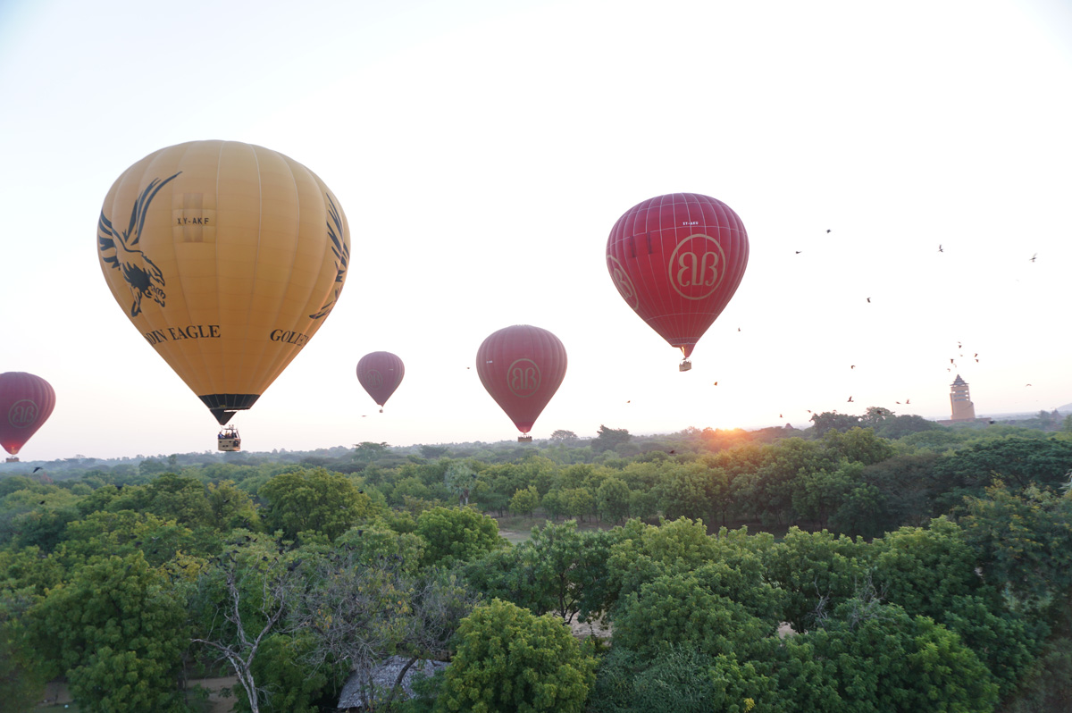 Balloons Over Bagan