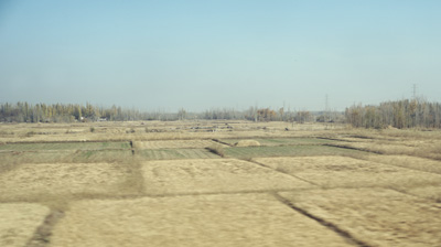 Farmland just outside Hotan, Hotan to Kashgar, Xinjiang - Fall 2019