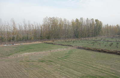 Near Yarkand, Failed Trip to Yarkand, Xinjiang - Fall 2019